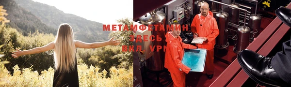 дурь Инсар