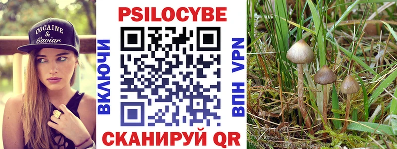 Псилоцибиновые грибы Magic Shrooms  МЕГА ссылки  Пошехонье 